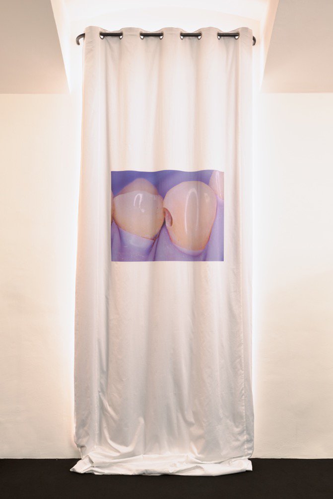 Lili Reynaud-DewarSafe Space, 2016Curtain, digital print on cotton400 x 180 cm