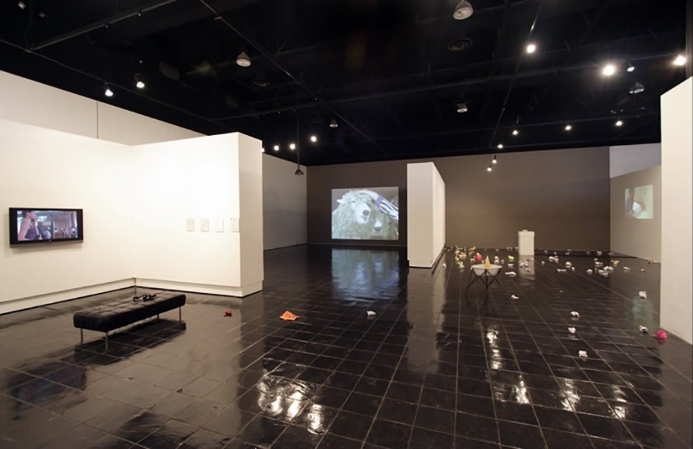 Gaylen Gerber with BANK, Andrea Fraser, David Ireland, Christian Jankowski, Louise Lawler, N55, David Ording and Red76Exact Imagination, 2008Installation viewColumbus College of Art and Design, Columbus