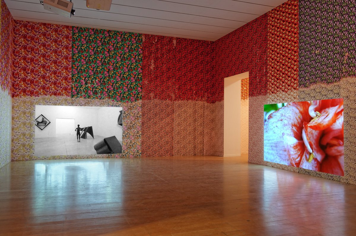 Lili Reynaud-DewarInstallation viewI am intact and I Don&#x27;t care, 12th Biennale de Lyon, Lyon, 2013