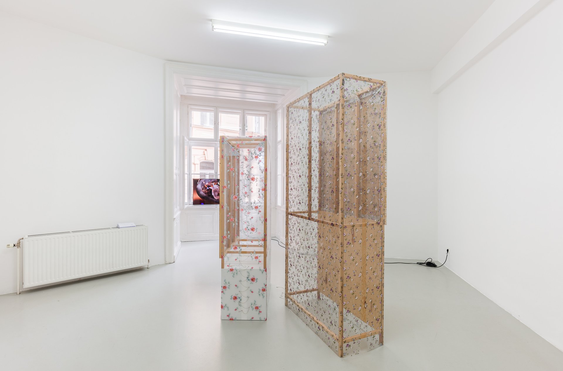 Ying Xiang LiCurl, 2020Installation viewLayr Seilerstaette, Vienna