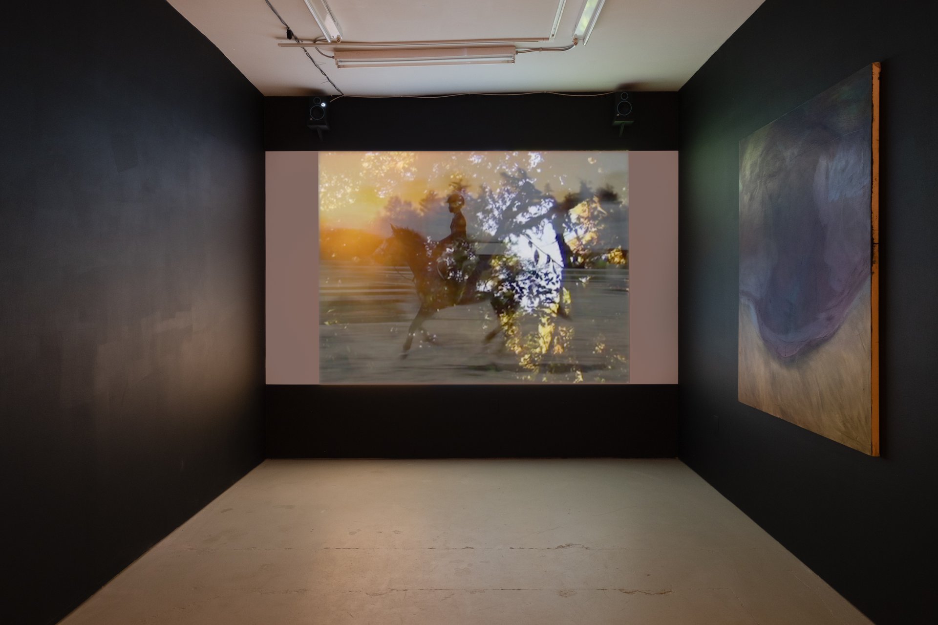 Dominique KnowlesCenzina, 2019Installation view, Ode to Tazz, The Green Gallery East, Milwaukee