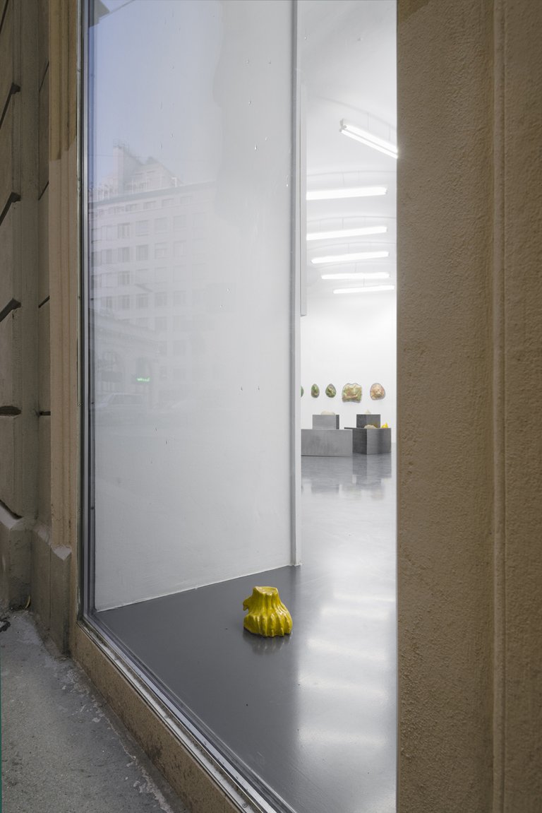 Fieber, 2016Installation viewLayr Seilerstaette, Vienna