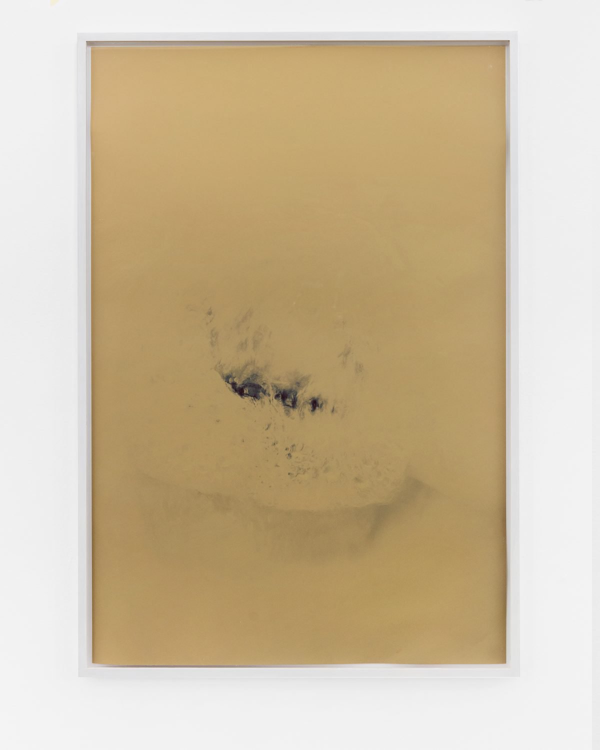 Lisa HolzerFlush (with and without flash), 2019Pigment print on cotton paper, semigloss enamel on wood110.3 x 74.5 cm