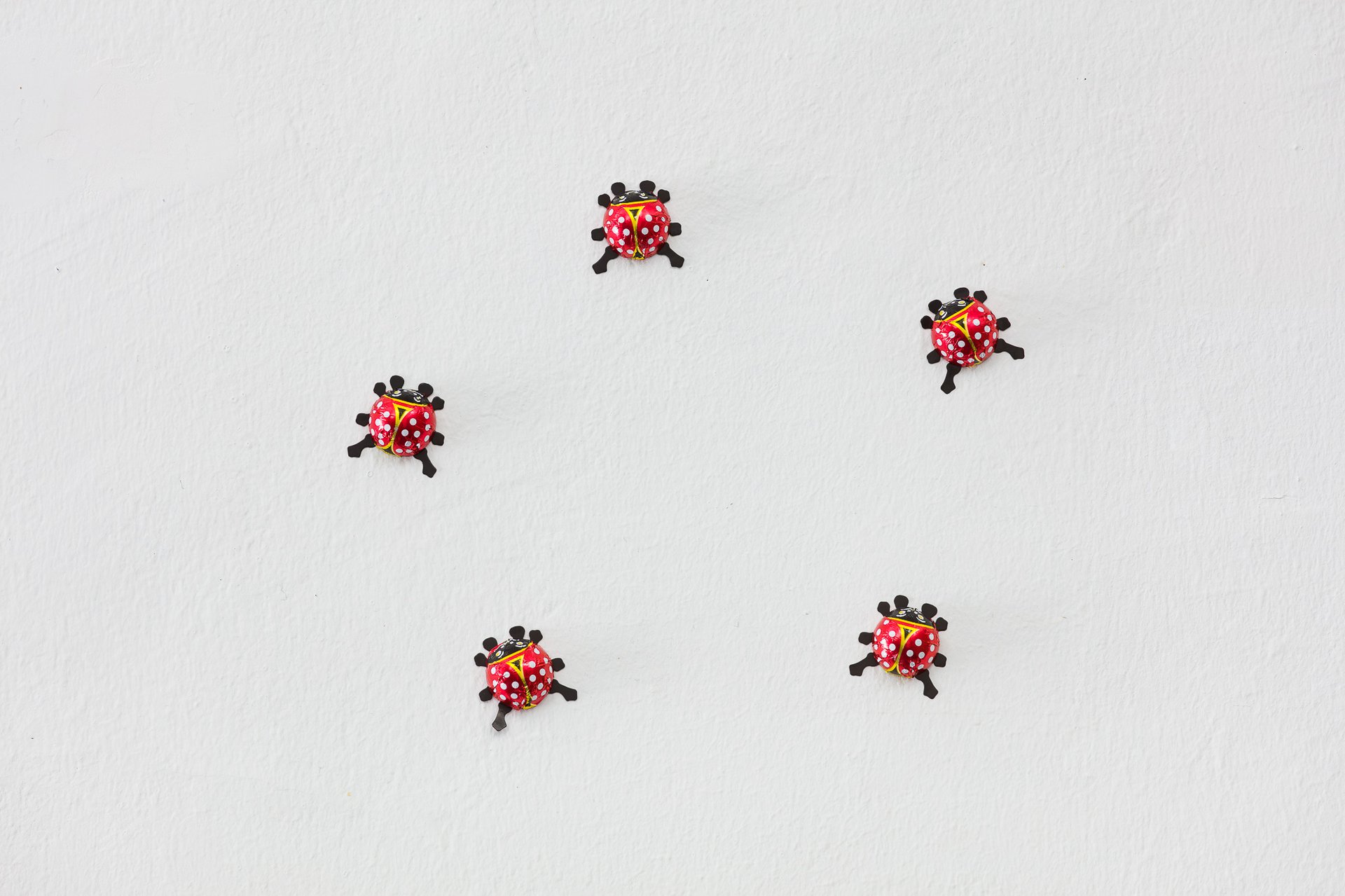 Sung Tieu with Vu Thi Hanh Ladybirds 1-5, 2021 5 chocolate ladybirdseach: 4 x 4 cm, installation: dimensions variable