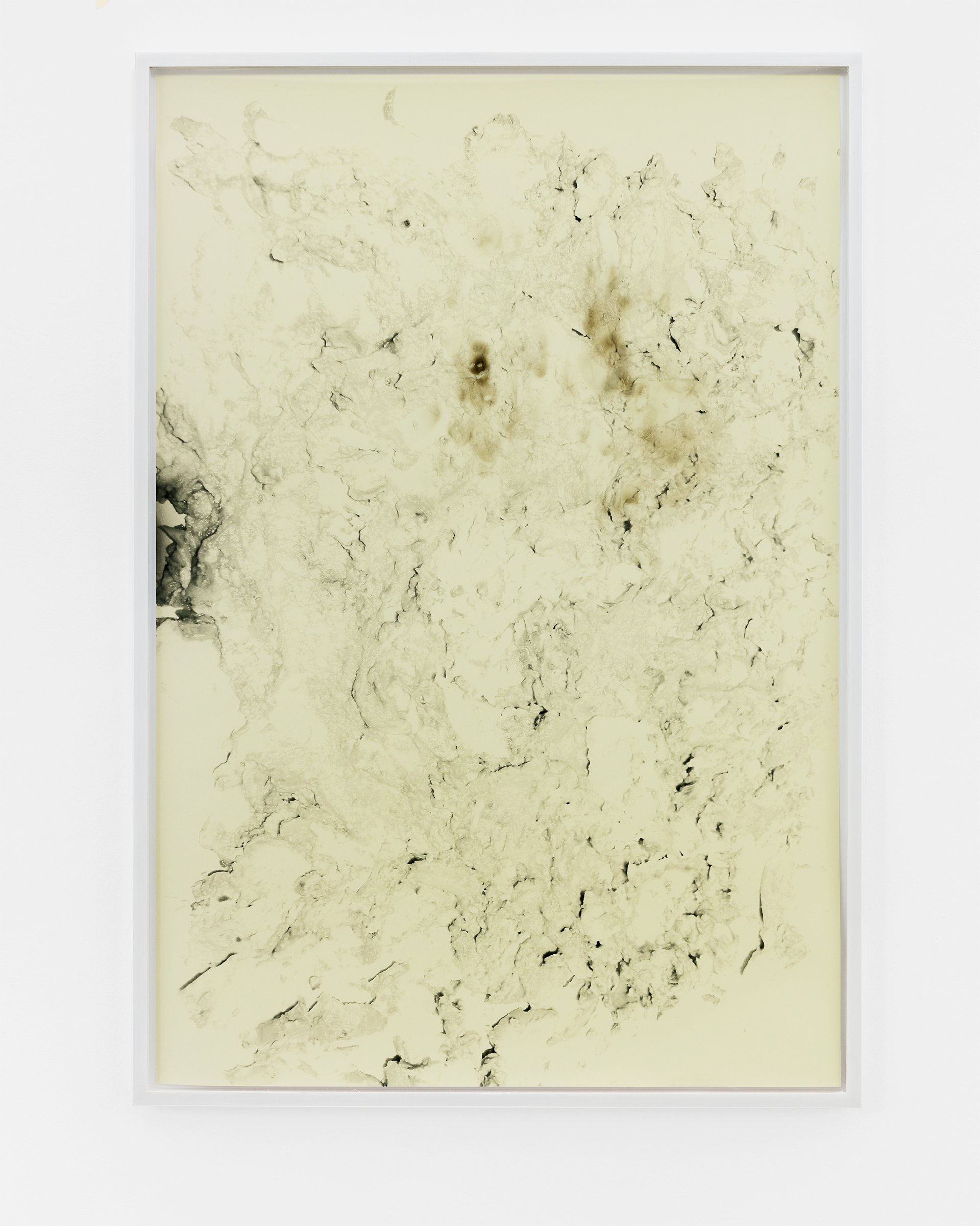 Lisa HolzerGuts, 2019Pigment print on cotton paper, soot on glass, semigloss enamel on wood110.3 x 76 cm