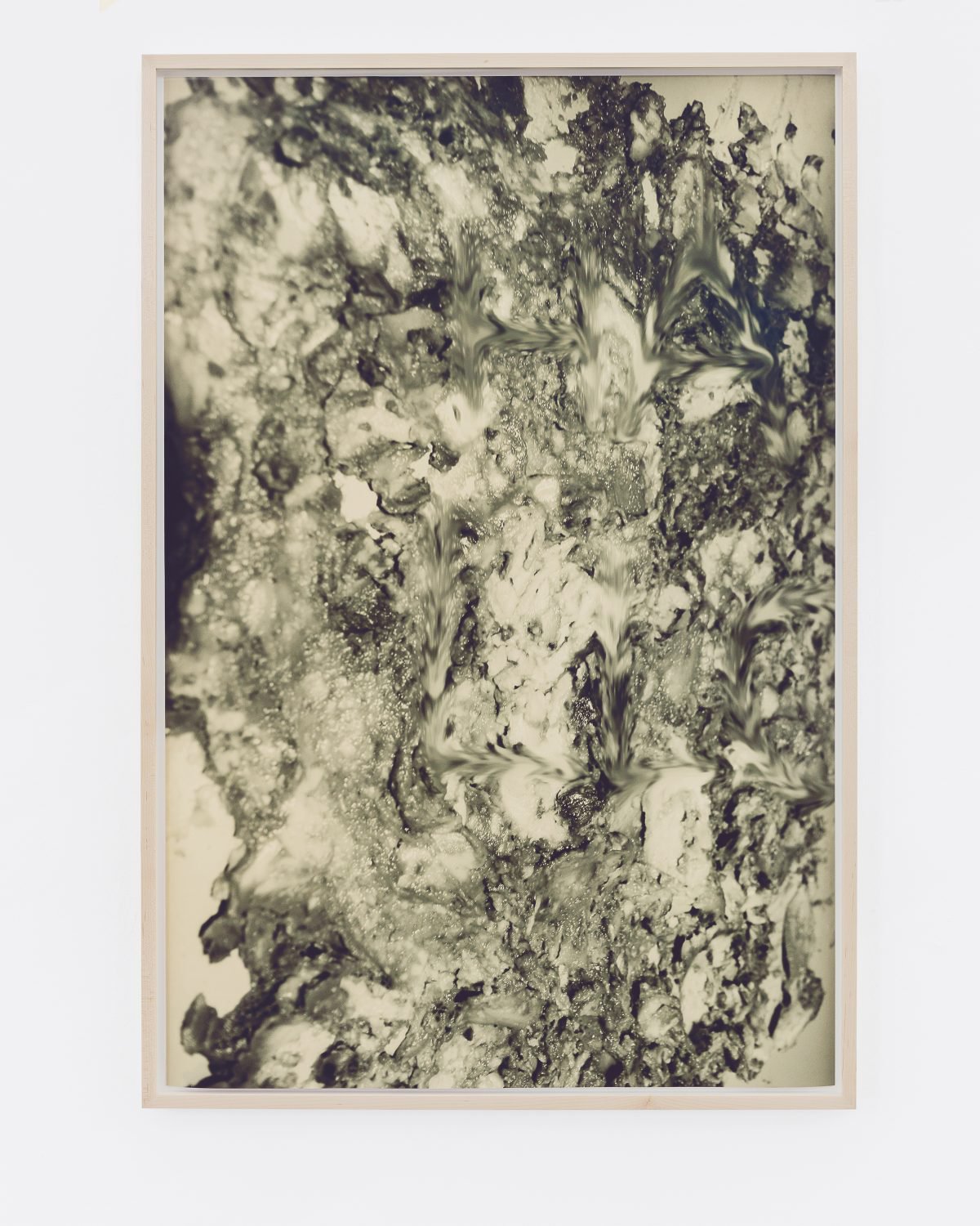 Lisa HolzerGuts, 2019Pigment print on cotton paper110.3 x 74.5 cm