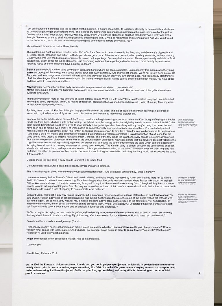 Lisa HolzerI cry. Poster, p.1, 2018Plot and tears on paper118 x 84 cm