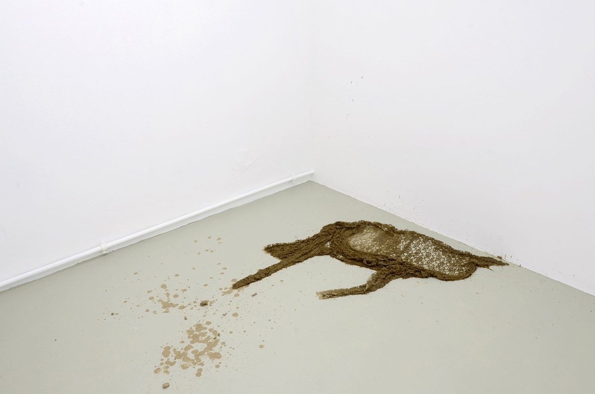 Anna-Sophie Bergermud coat (1), 2016Polyester lace, mud, water, threadDimensions variable