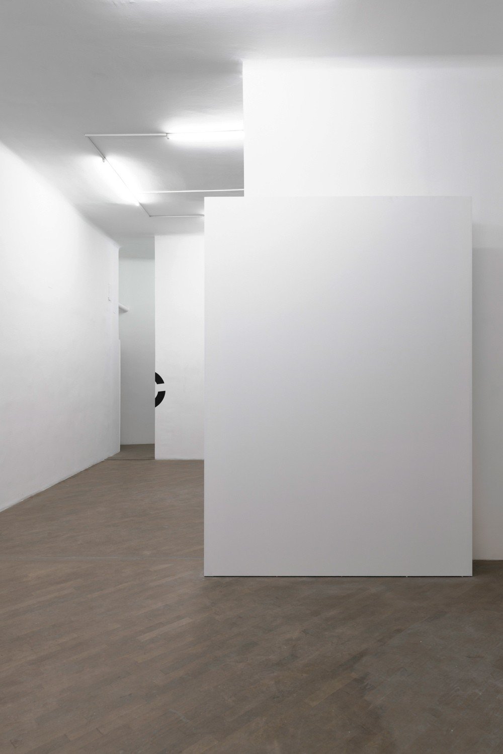 Benjamin HirteUntitled, 2012Lacquer on plywood280 x 210 cm