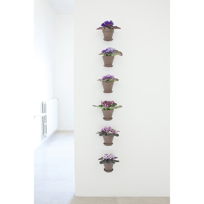 MahonyThe remarkable absence of violet II, 20166 African violets, flowerpots, metal holds173 x 26 x 28 cm