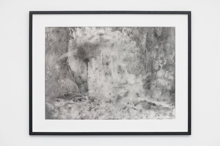 Julien BismuthForêts du Brésil II (I know nothing about trees. Like leaves.), 2025Unique pieceGraphite on mylar paper61,7 x 86,5 cm (paper) / 75,5 x 98 x 3 cm (framed)