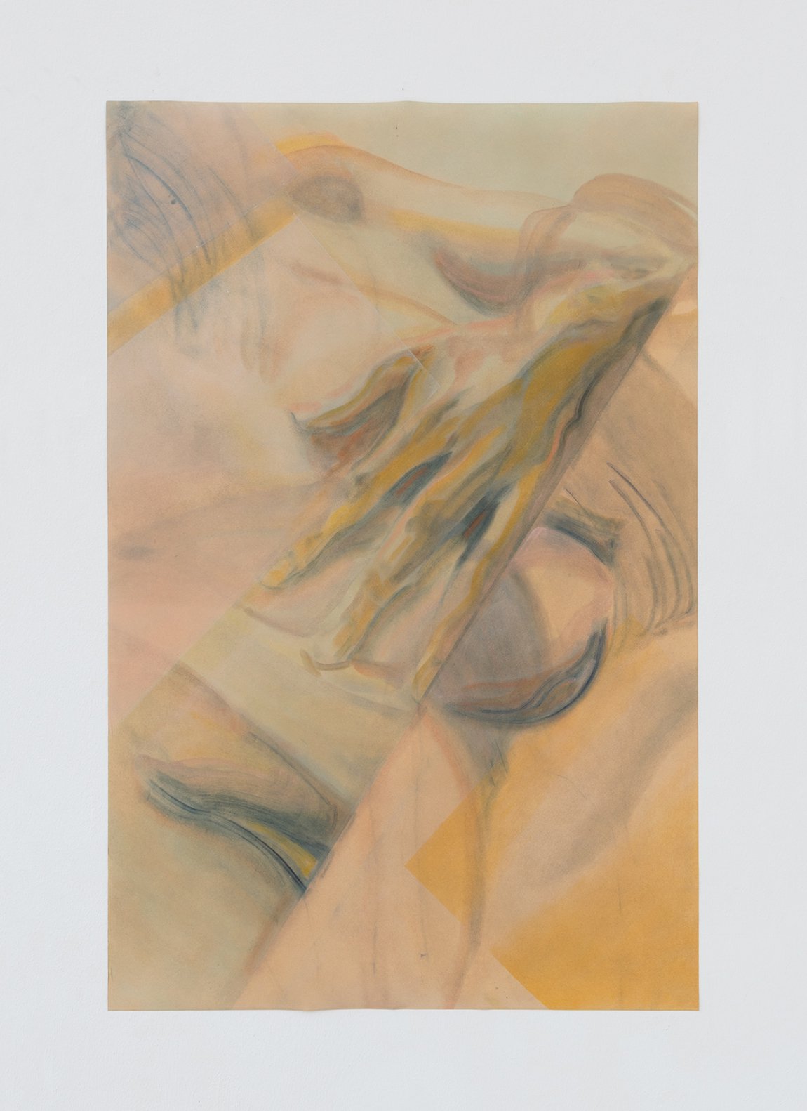 Evelyn PlaschgI shed, 2021Pigment on paper102 x 67,5 cm