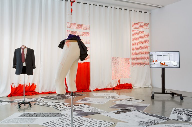 Lili Reynaud-DewarInstallation viewMy Epidemic (Teaching Bjarne Melgaard's Class), Audain Gallery, SFU, Vancouver, 2015