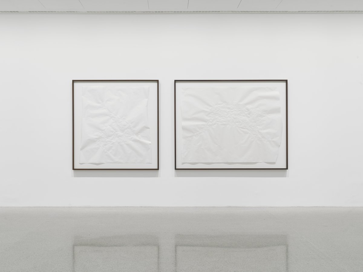 Anna-Sophie Bergerchoicest relic (1) &amp; choicest relic (2), 2016Water on paper, framedVarious sizes