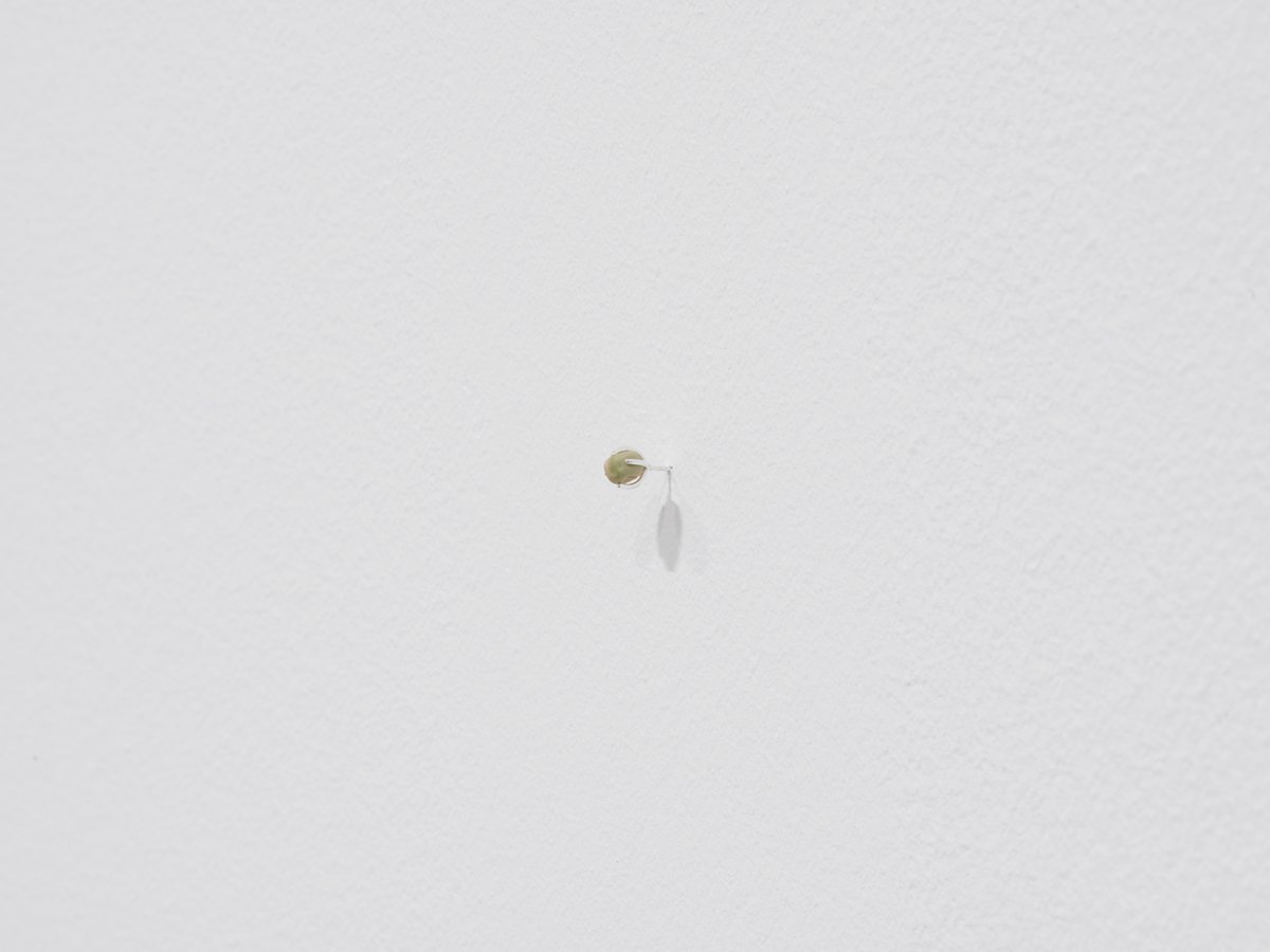 Anna-Sophie BergerPea earring, 2015Silver, peaseed1 x 0,5 cmPlaces to fight and to make up, Mumok, Vienna, 2016