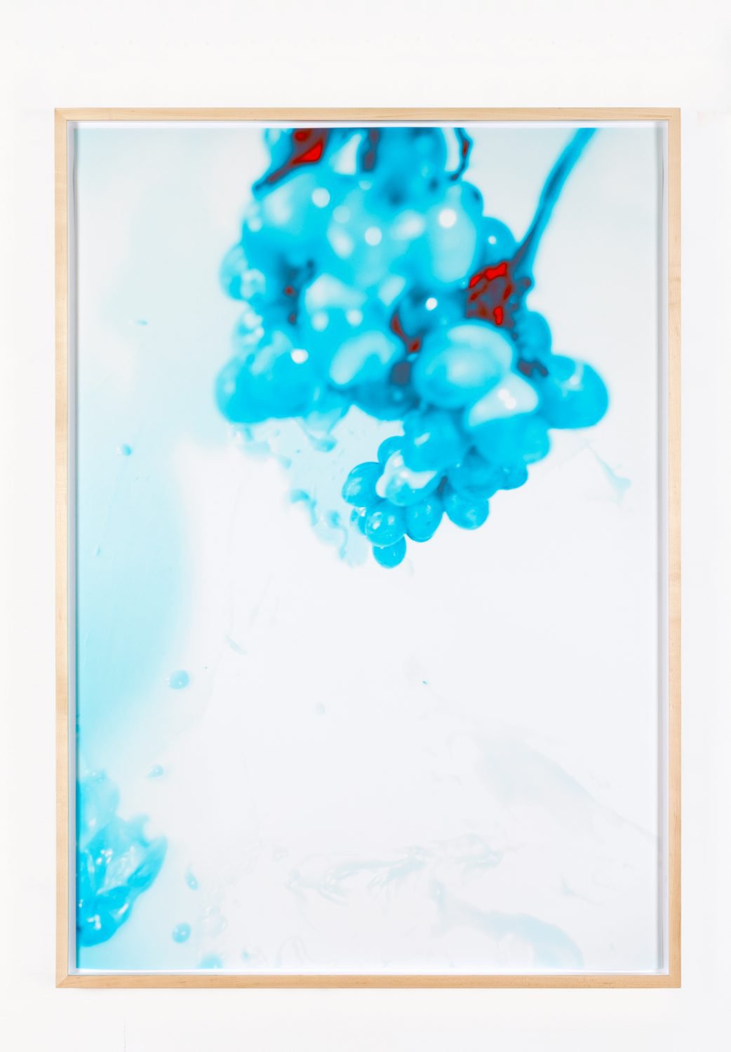 Lisa Holzer Trauben, 2019Pigment print on cotton paper110.3 x 78 cm