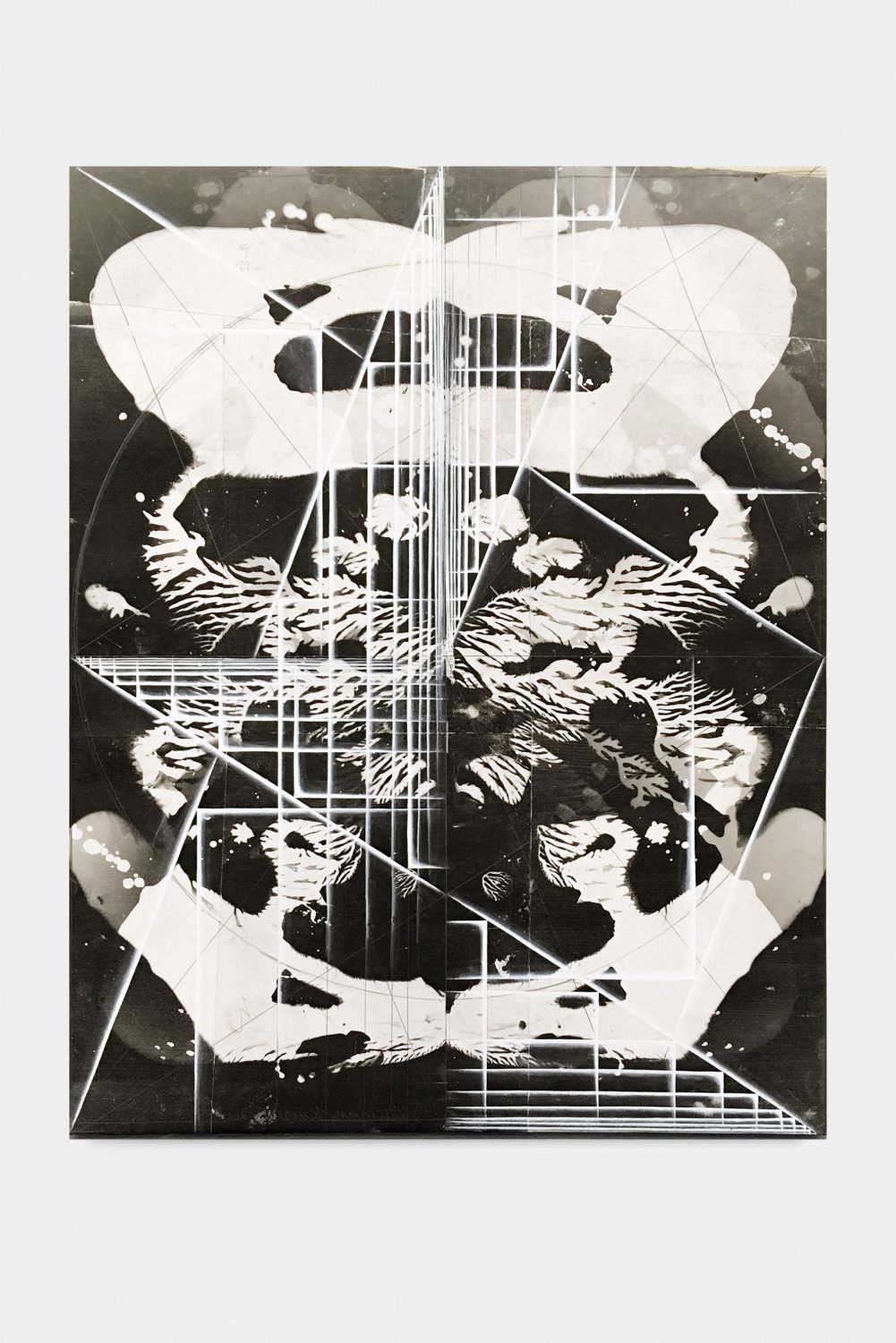 Tillman KaiserUntitled, 2017Eggtempera and photogram on paper on canvas180 x 140 cm