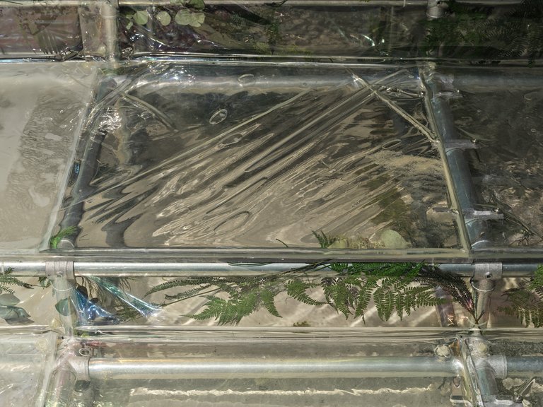 Cécile B. EvansFuture Adaptations (an understudy for Giselle), 2022 Nomadic 9 channel video installation, Scaffold, recycled acrylic, water cushions, inflatable arch, preserved plants, screens, microbial fuel cells, raspberry pisCommissioned and acquired by Ulsan Art Museum for their inaugural exhibition Post Nature, 2022