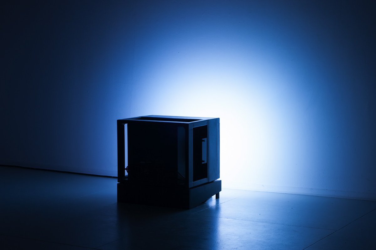 Julien BismuthPerroquet, 2013Monitor live television feedDimensions variable